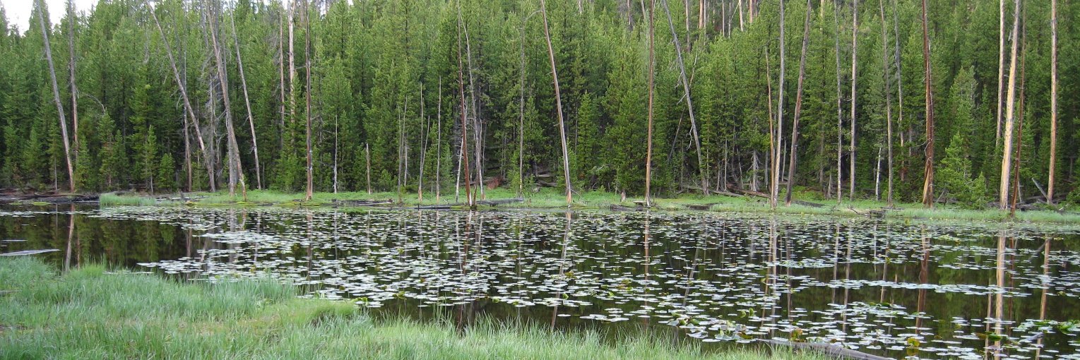 Chris Jackson banner