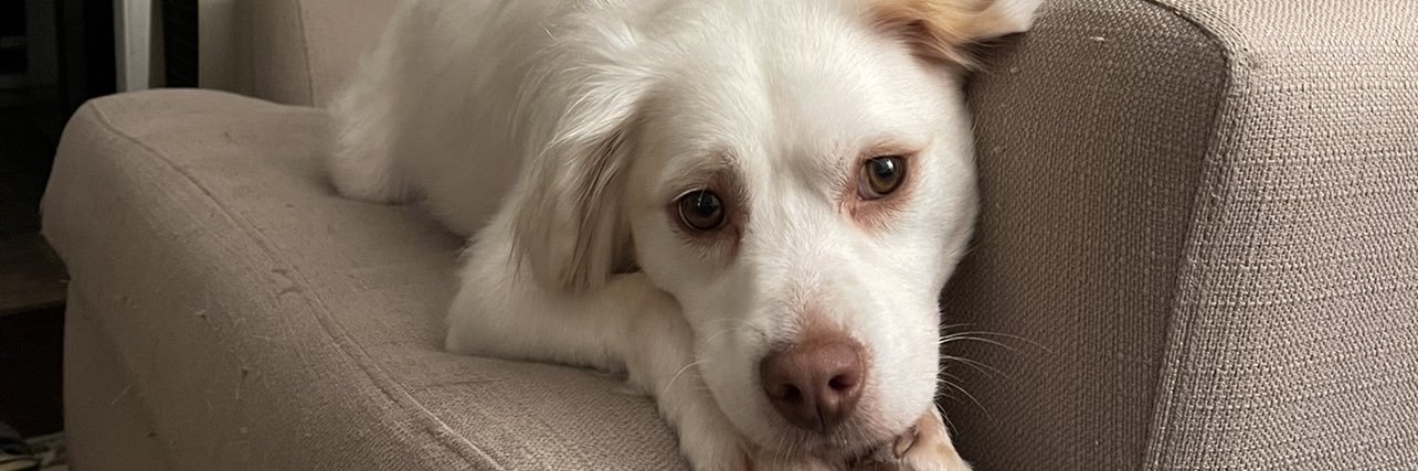 kat_carpenter97's profile banner image