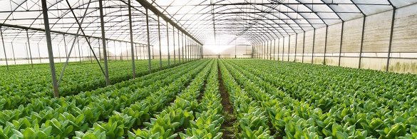 GrowGeneration banner