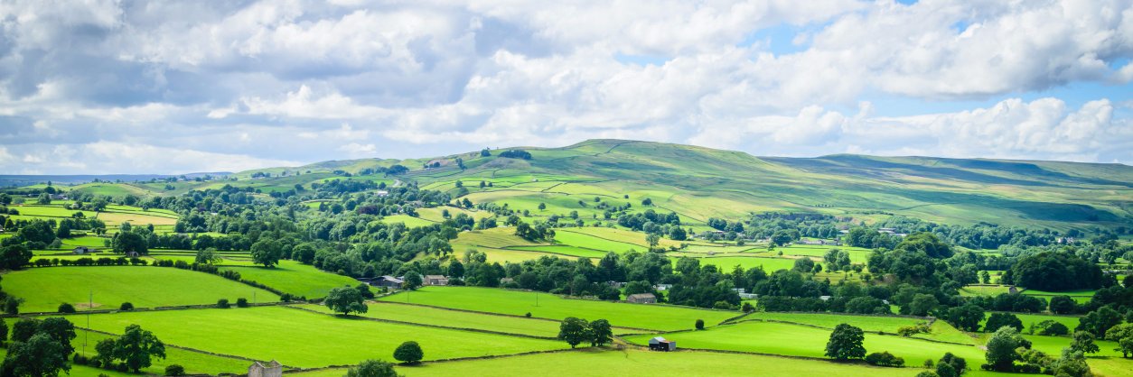 HerefordStorage's profile banner image