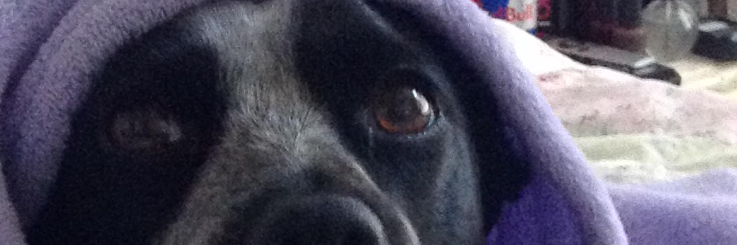 MorganNadauld's profile banner image