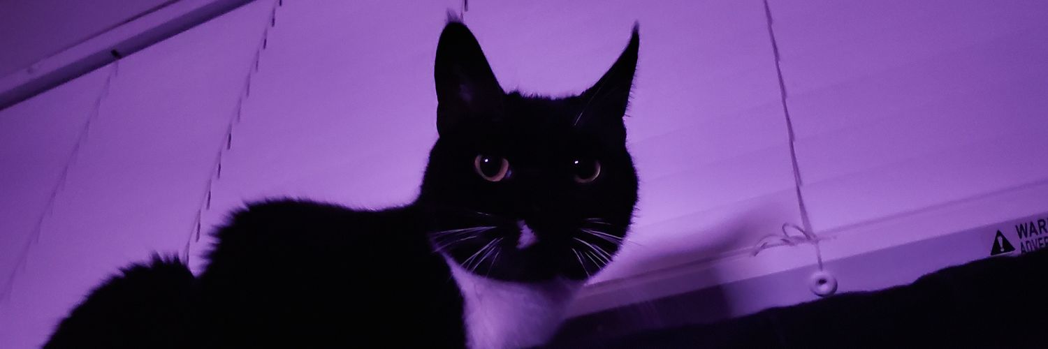 Cubtle's profile banner image