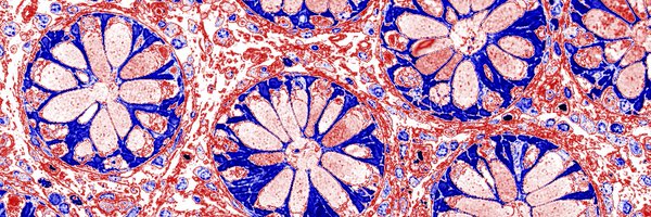 VUBasicSciences Profile Banner