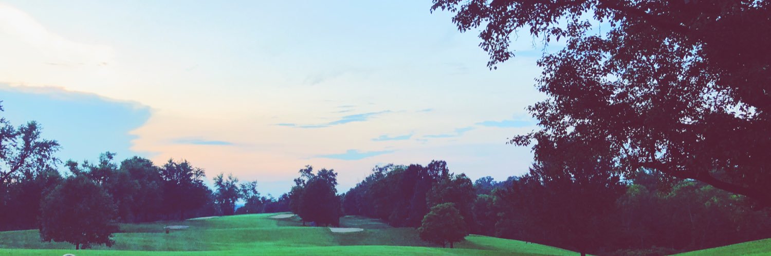 Stephanie Wessel banner