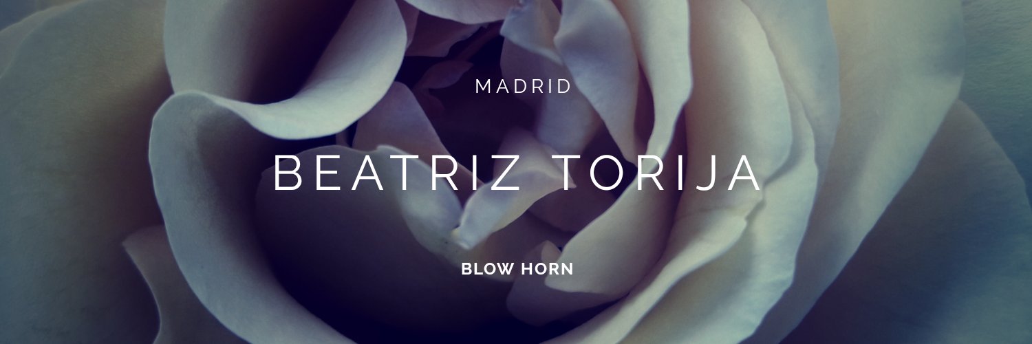 Beatriz Torija banner