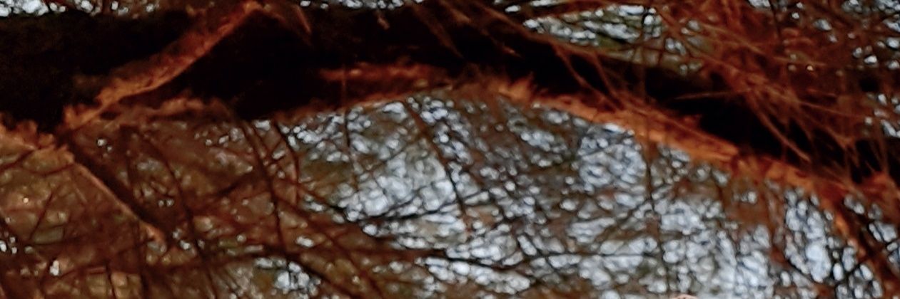 lisnawidi's profile banner image