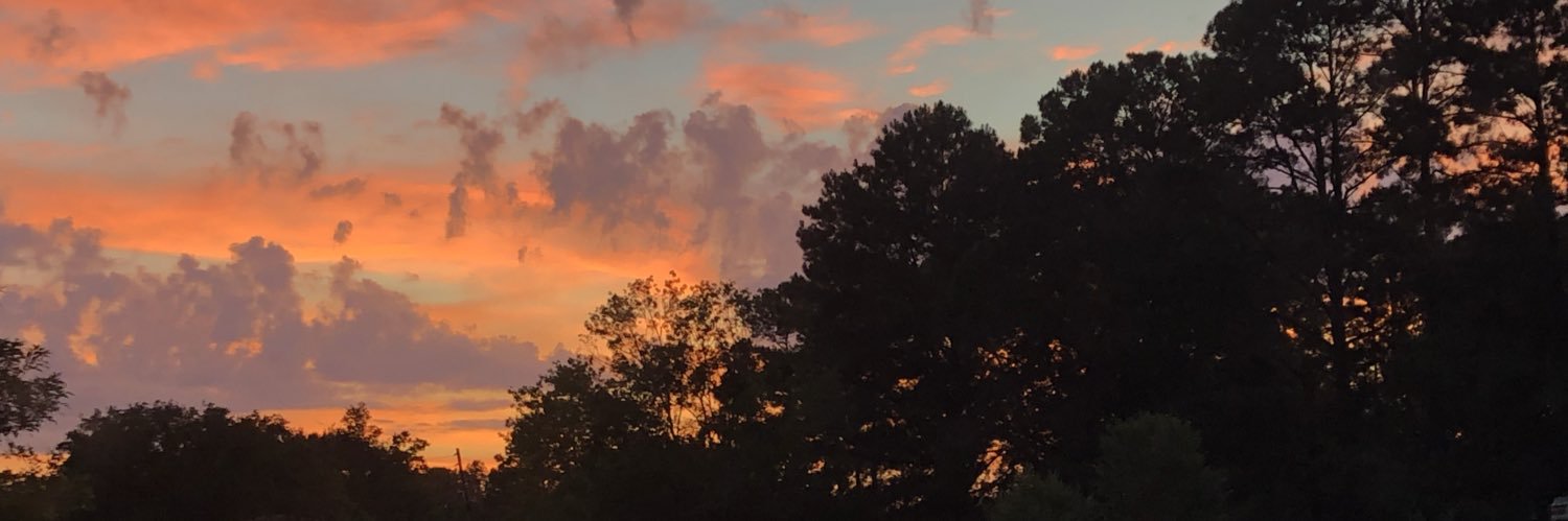 hayden_mcdaniel's profile banner image