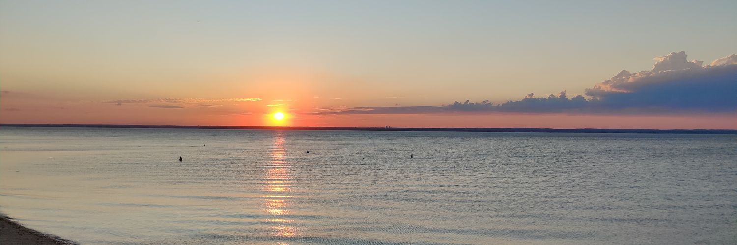 MichaelZonetti's profile banner image