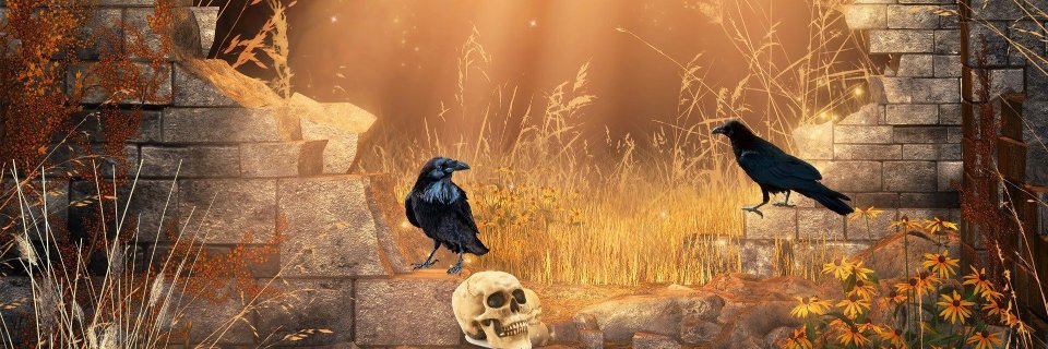 AlnoaBooks's profile banner image
