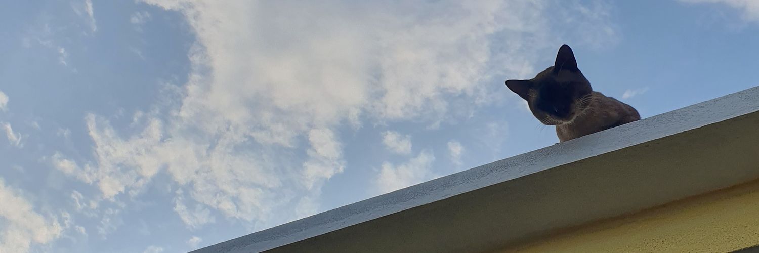 Pablo🏴‍☠️ banner