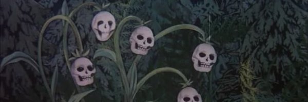 kaayhay_ Profile Banner