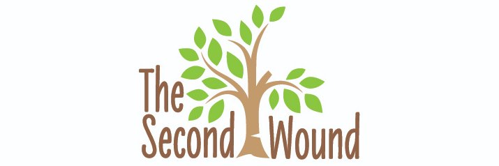 The Second Wound 🦋 banner