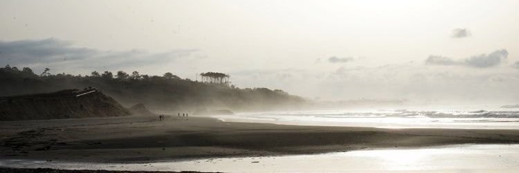 Forfelit's profile banner image