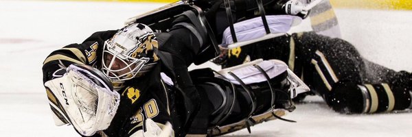 brandonbussi33 Profile Banner