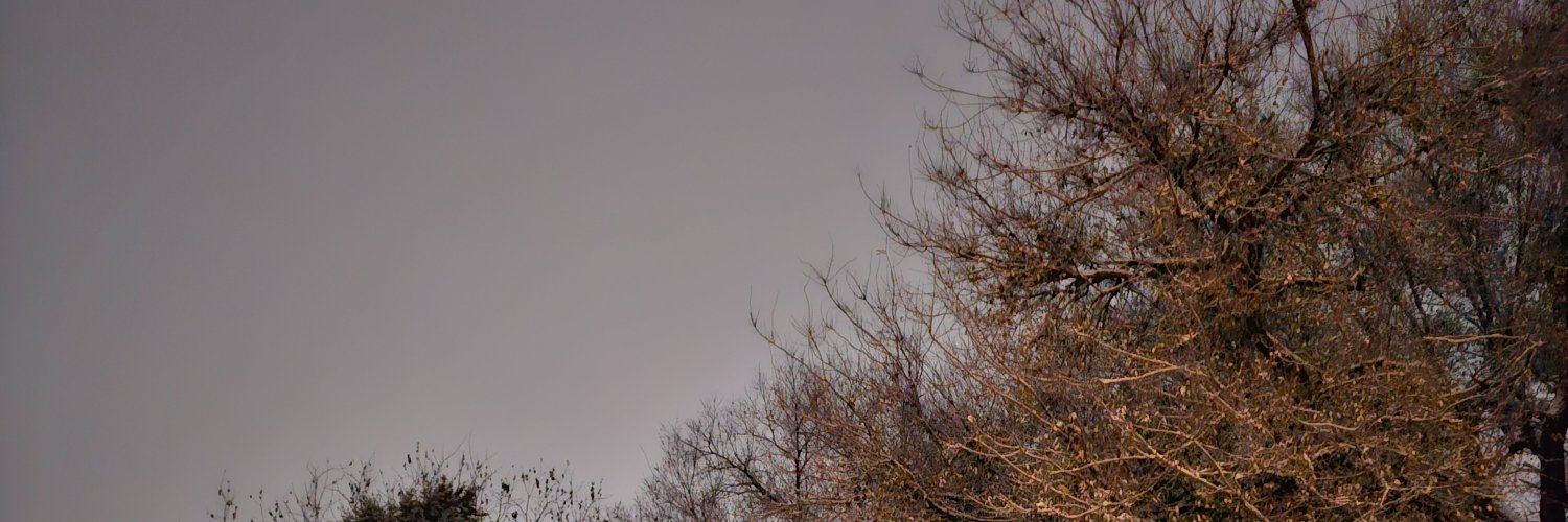 Hopesauce69's profile banner image