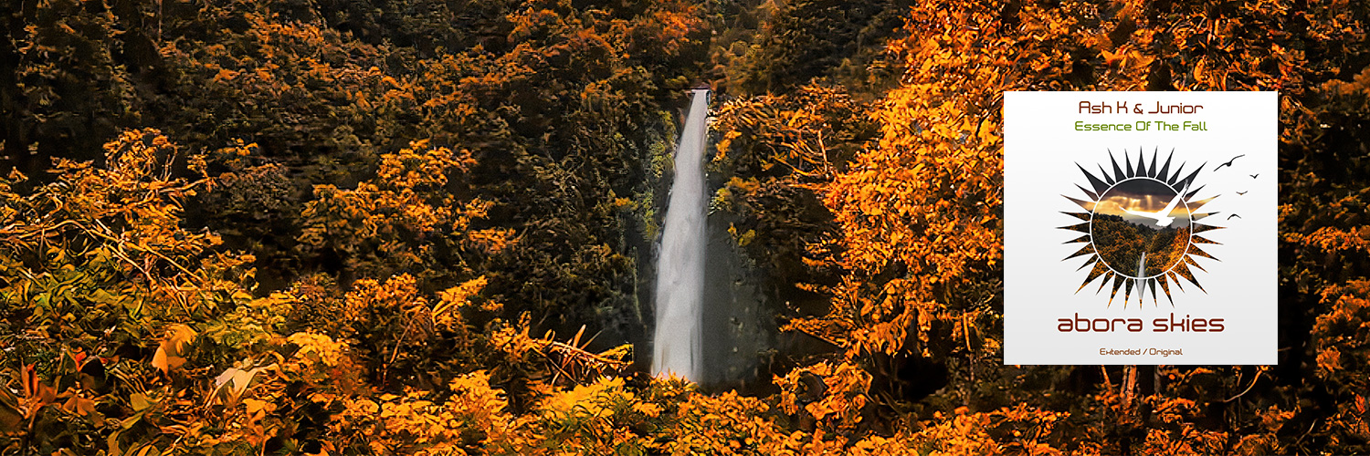 Ash K & Junior banner