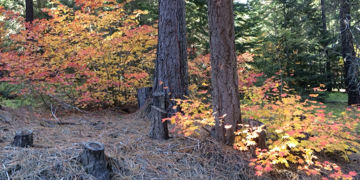 MattKujath's profile banner image