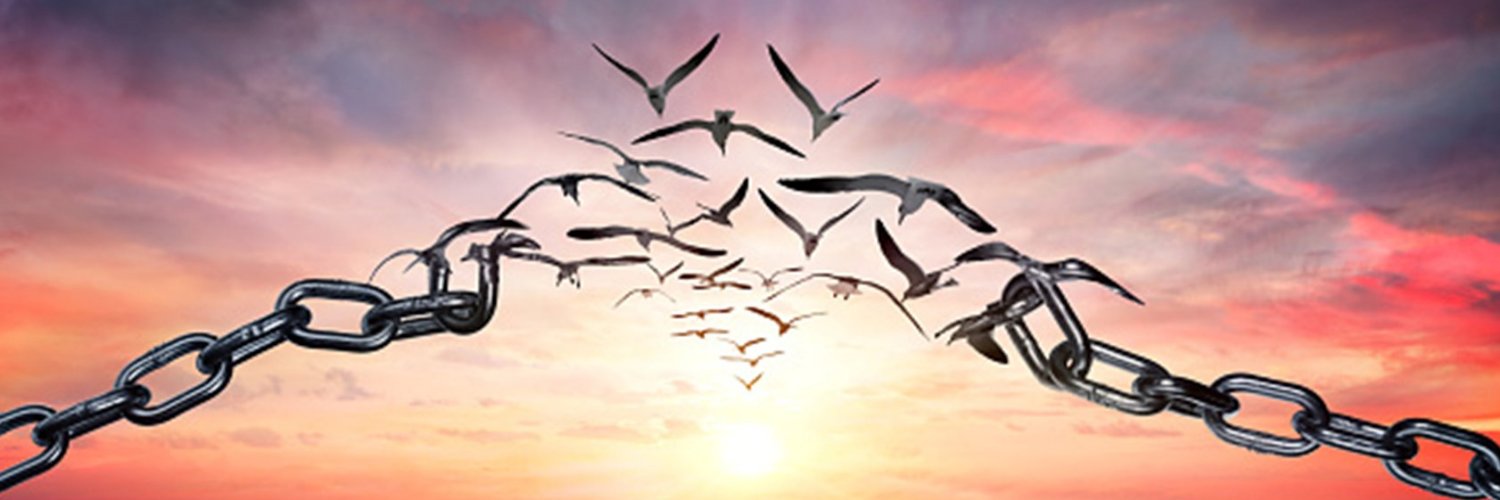 boydmartin's profile banner image