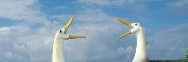 holdenshower's profile banner image
