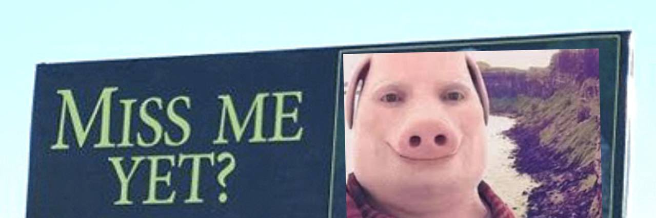 Cam banner