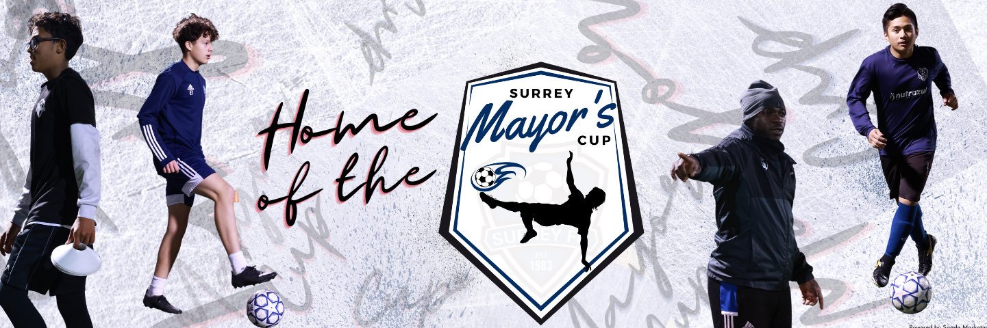Surrey Football Club banner