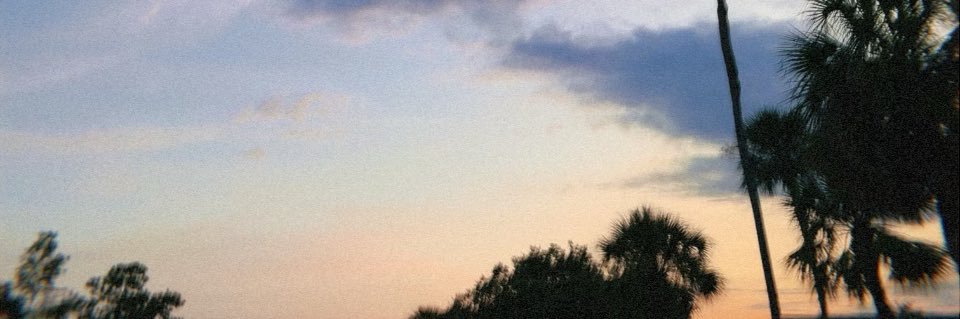 lilrollie33's profile banner image