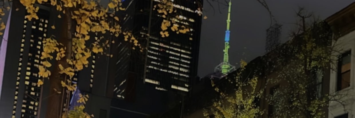 traudymatos's profile banner image