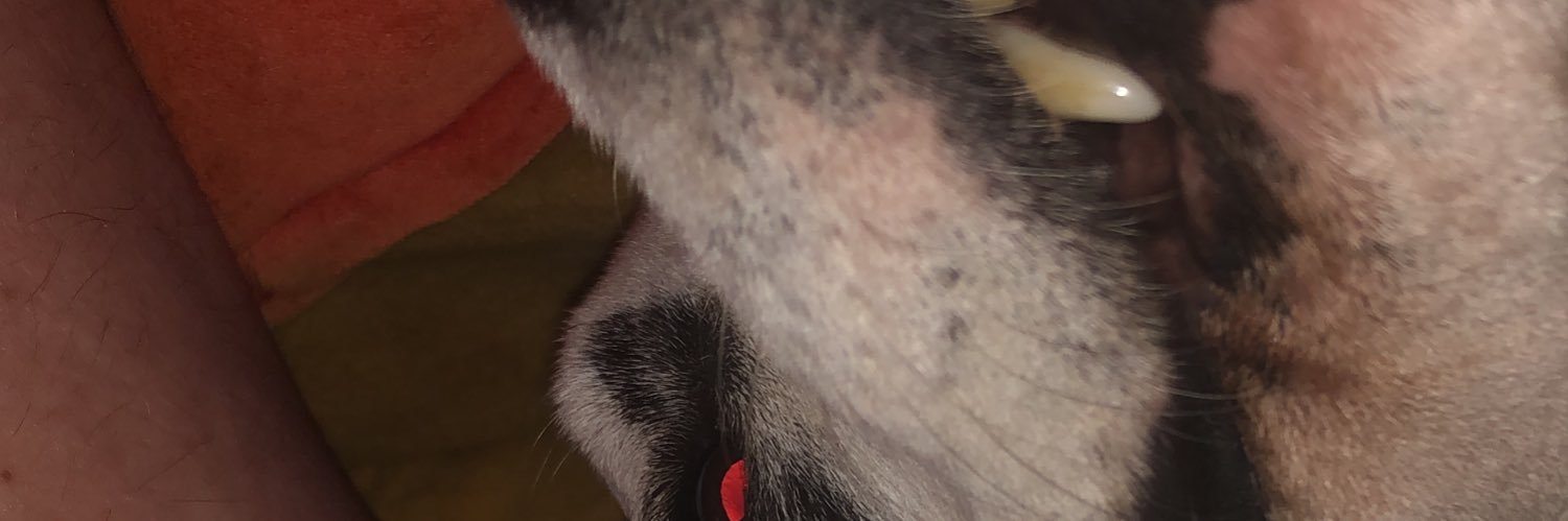 Eric Salat 🌈 banner