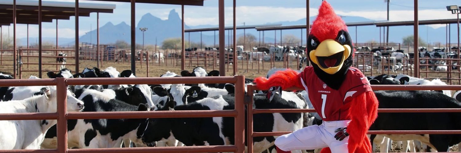 Arizona Fuel Up to Play 60 banner