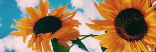 tebuuzondo's profile banner image