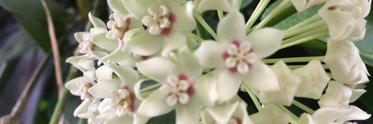 RERingdahl's profile banner image