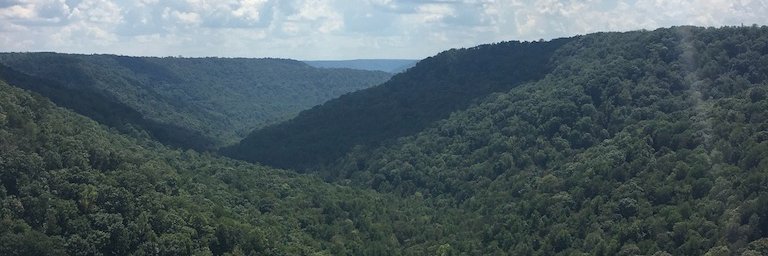 k_reasoner's profile banner image