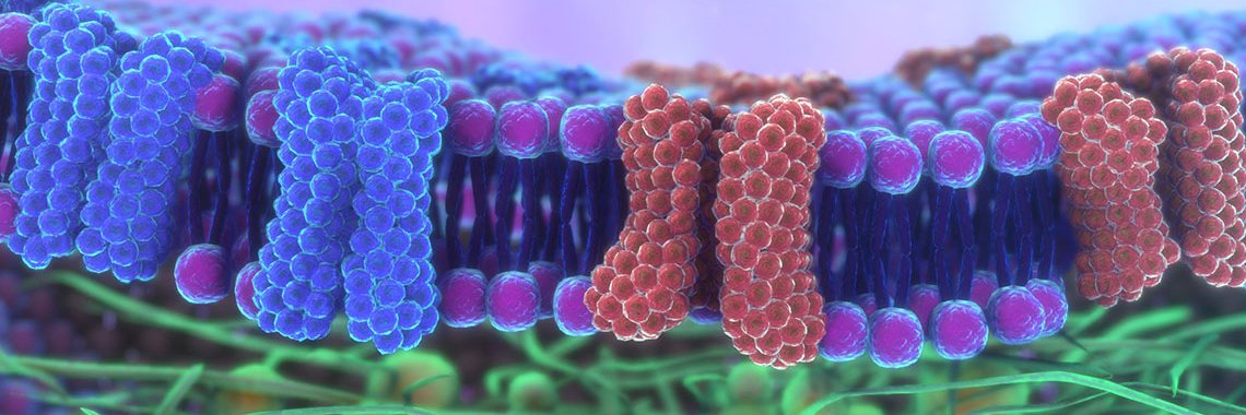 Intervoke Scientific Communication banner