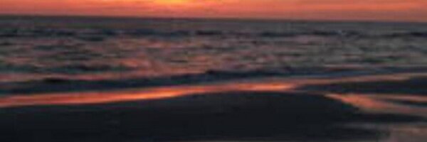 sharonePack Profile Banner