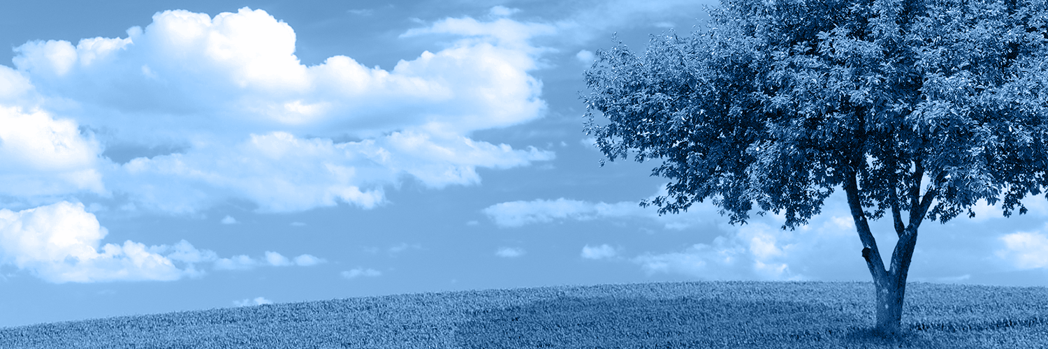 kiteworkslegacy's profile banner image
