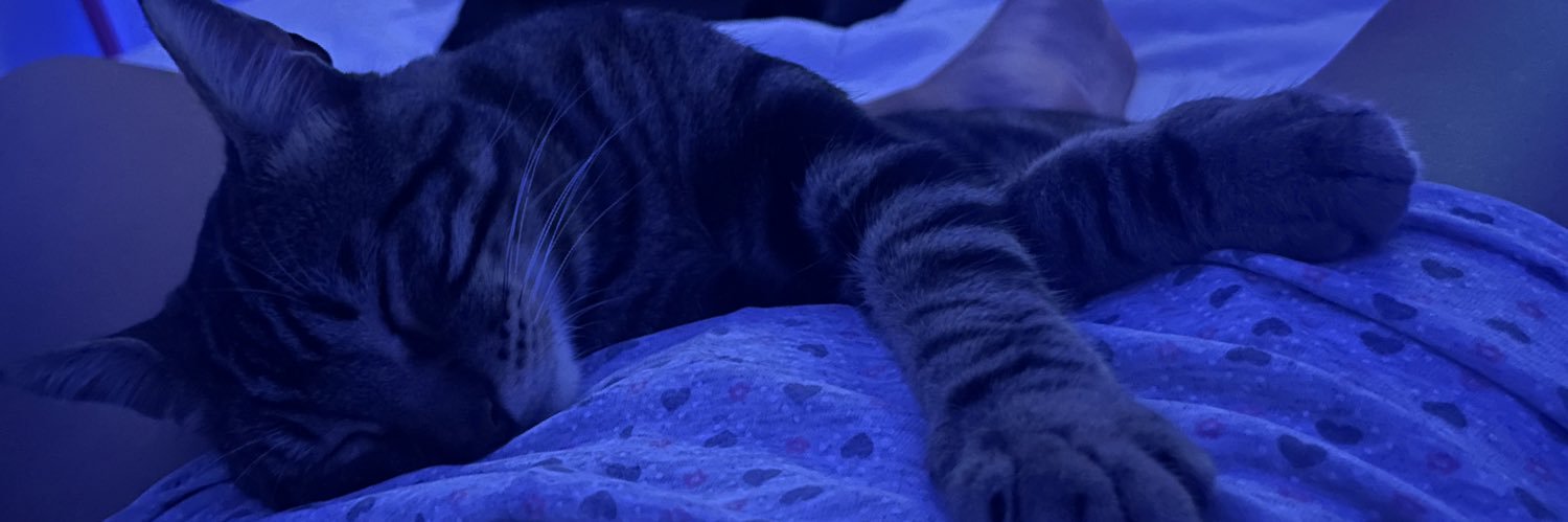 corachele22's profile banner image