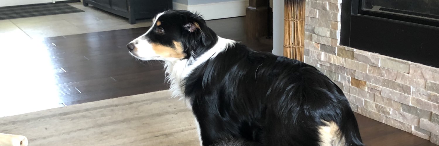 whos your aussie banner