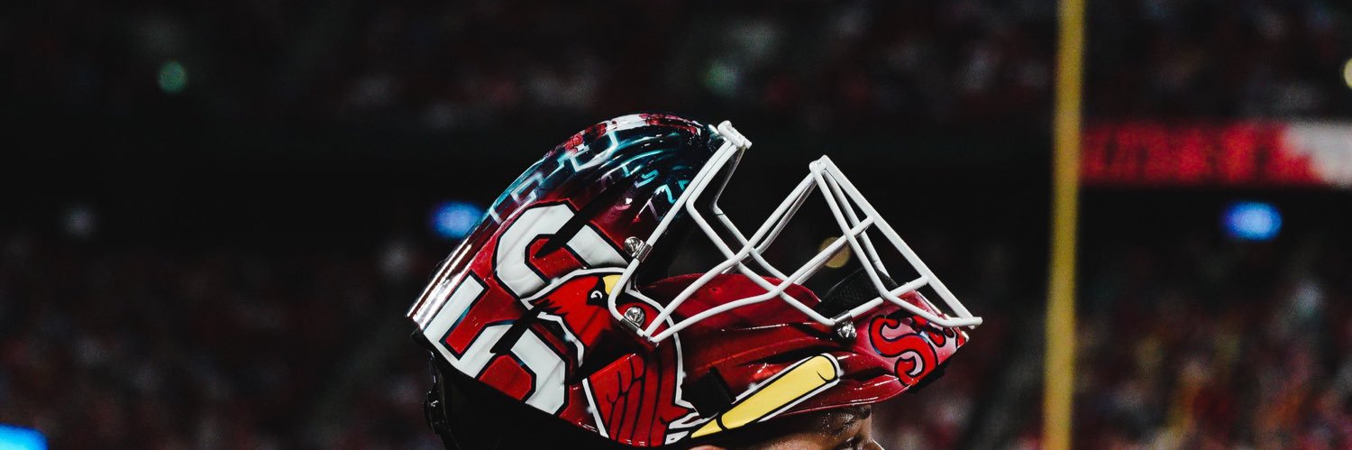 Cam banner