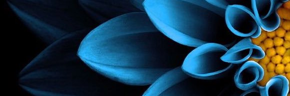 iamIYAM's profile banner image