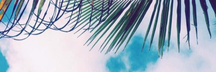 haifa1_ali's profile banner image