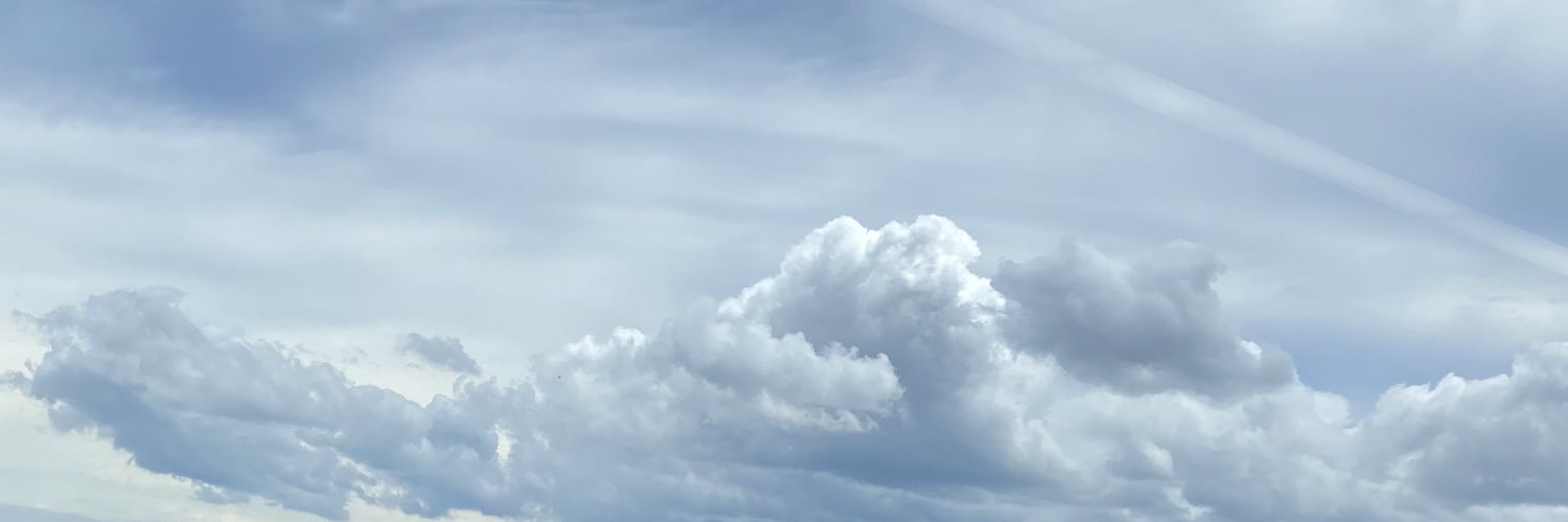 nuviia's profile banner image