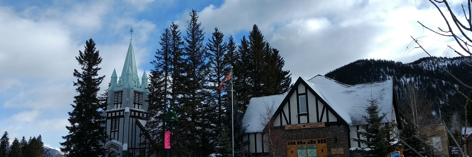 calgarytree's profile banner image