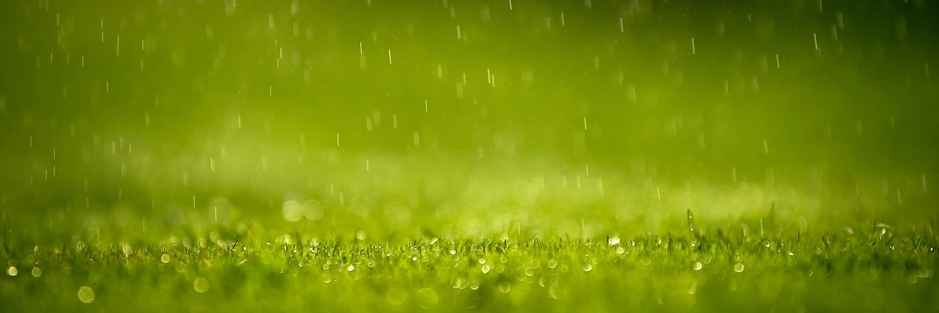 m0neyc @がんばらない 💤 banner