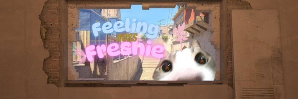 freshiecs Profile Banner