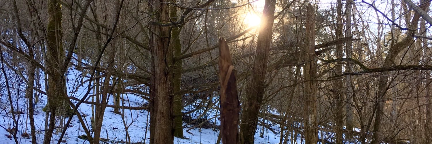 DroocySweeps's profile banner image