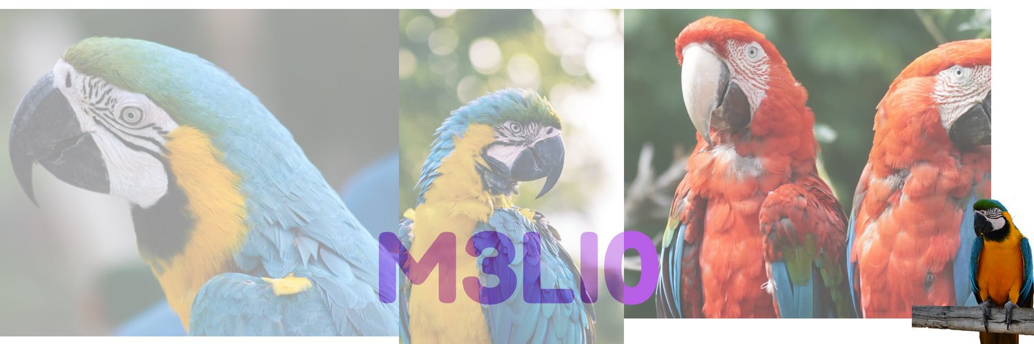 Mewwio's profile banner image