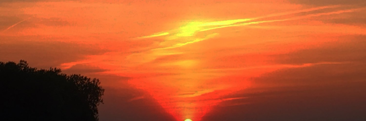 Gavin_winters's profile banner image