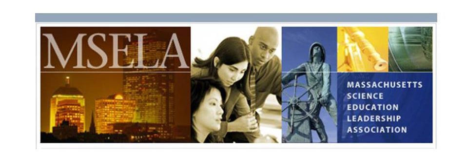 MSELA banner