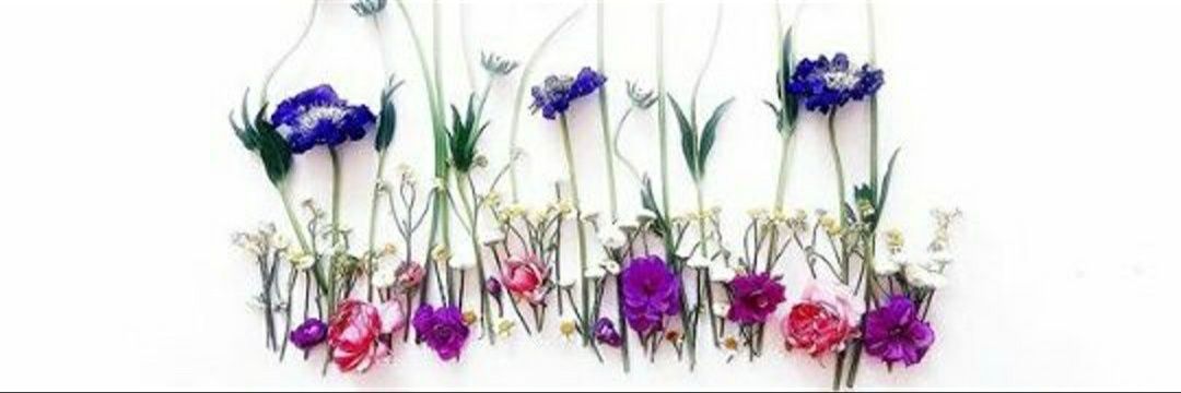 ꨄ 𝓰𝓱𝓪𝓵𝓲𝓪 ꨄ banner