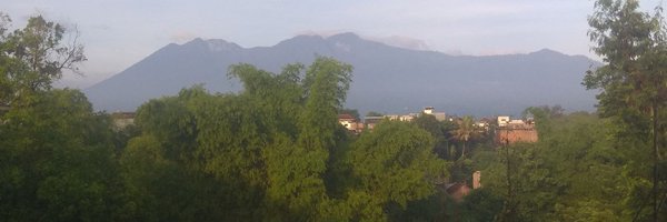 ridooetoro1 Profile Banner